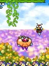 Wario Land 4