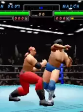 Zen-Nippon Pro Wrestling Featuring Virtua