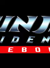 Ninja Gaiden: Ragebound