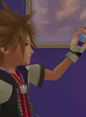 Kingdom Hearts II Final Mix