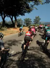 Pro Cycling Manager 25