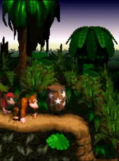 Donkey Kong Country