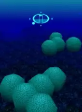 Aquanaut's Holiday: Memories of Summer 1996