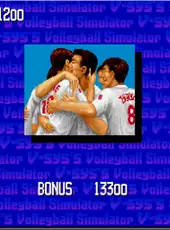 Arcade Archives: Power Spikes