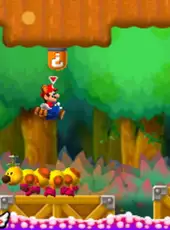 New Super Mario Bros. 2