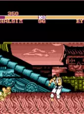 Master Fighter VI'