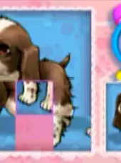 Cuccioli Cerca Amici