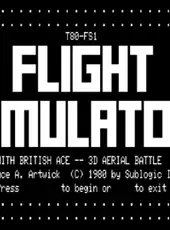 Flight Simulator