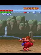 Hiryuu no Ken S: Golden Fighter