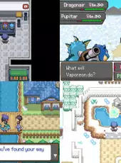 Pokémon and the Last Wish