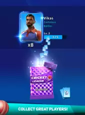 Cricket League