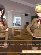 Analistica Academy