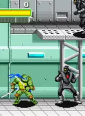 Teenage Mutant Ninja Turtles Double Pack