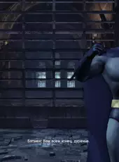 Batman: Arkham City - Arkham City Skins Pack