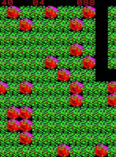 Boulder Dash