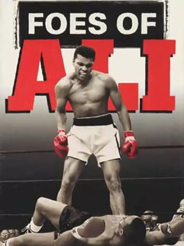 Foes of Ali