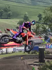 MX vs. ATV: Legends - 2025 AMA Pro Motocross Championship