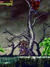 Castlevania: Order of Ecclesia