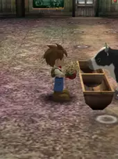 Harvest Moon: A Wonderful Life Special Edition