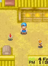 Harvest Moon: Friends of Mineral Town