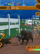 Derby Dogs