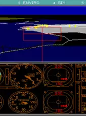 Microsoft Flight Simulator 3.0