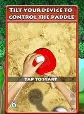 Ping Pong