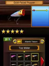 Reel Fishing Paradise 3D