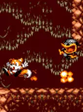 Tails Adventure