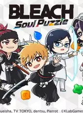 Bleach: Soul Puzzle
