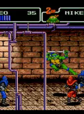 Teenage Mutant Ninja Turtles: The HyperStone Heist