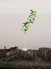 Aquatic Supermarket Simulator