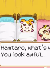 Hamtaro: Ham-Ham Heartbreak