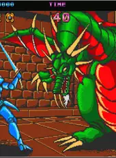 Arcade Archives: Castle of Dragon
