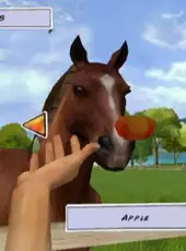 Horse Life Adventures