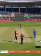 Cricket 19