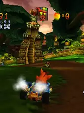 Crash Nitro Kart