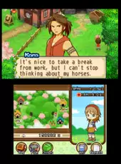 Harvest Moon: The Tale of Two Towns