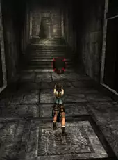 Tomb Raider: Anniversary