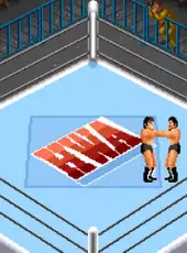 Super Fire Pro Wrestling 2