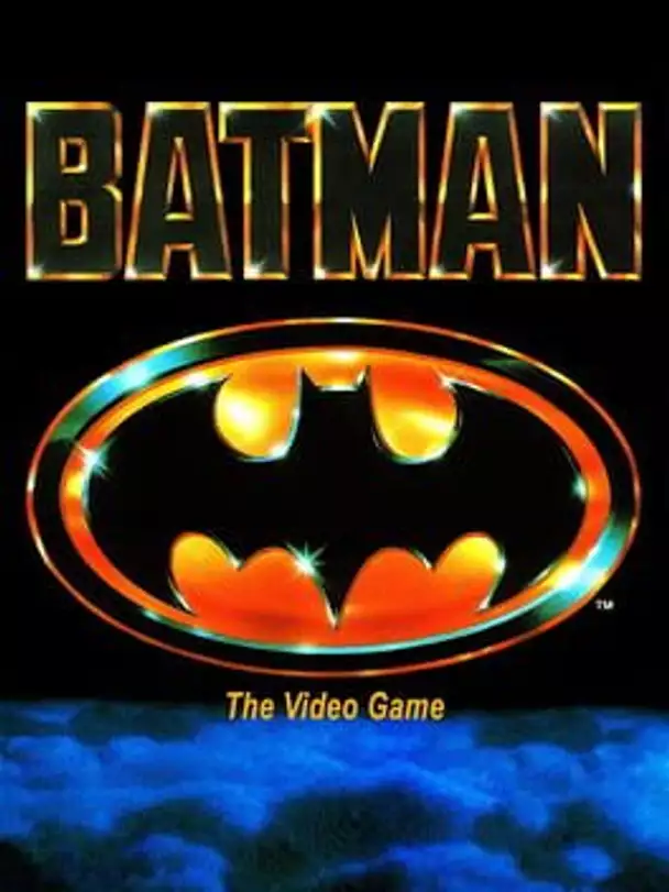 Batman: The Video Game