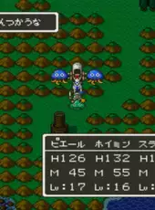 Dragon Quest V: Tenkuu no Hanayome