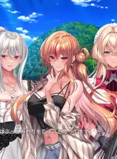 Amakano 3