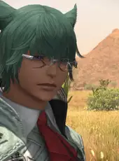 Final Fantasy XIV: Crossroads
