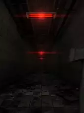 Days Without Incident