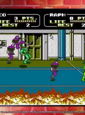 Teenage Mutant Ninja Turtles: The Cowabunga Collection