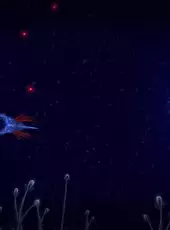 Microcosmum: Survival of Cells - Campaign Static