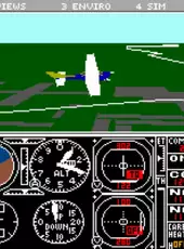 Microsoft Flight Simulator 3.0