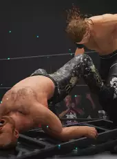 All Elite Wrestling: Fight Forever - Bring the Boom Edition