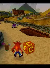 Crash Bandicoot Collectors' Edition